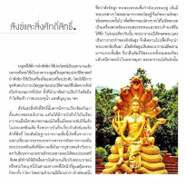สังข์และสิ่งศักดิ์สิทธิ์