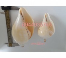 เวียนขวา