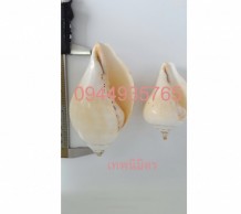 เวียนขวา