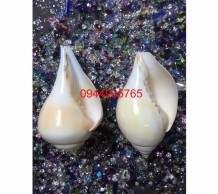 เวียนขวา 0