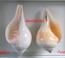 เวียนซ้าย เวียนขวา 0