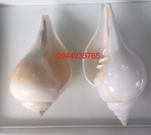 เวียนซ้าย เวียนขวา