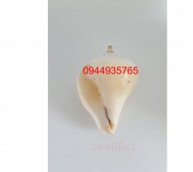 เวียนขวา 0