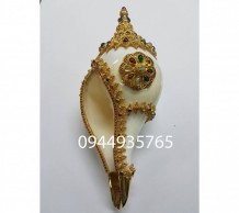 เวียนขวา 0