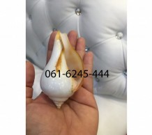 เวียนขวา 0