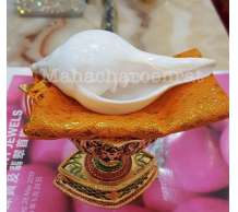 พระมหาสังข์