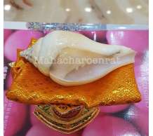 พระมหาสังข์
