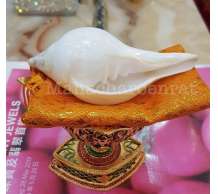 พระมหาสังข์ 0