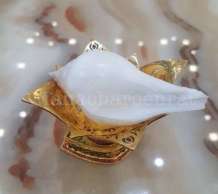 พระมหาสังข์ 0