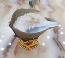 พระมหาสังข์ 0