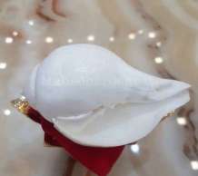 พระมหาสัฃข์ 0