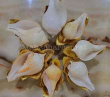 พระมหาสังข์