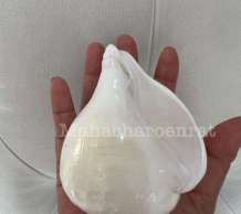 พระมหาสังข์