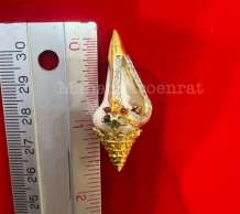 พระมหาสังข์ 0