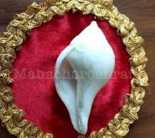 พระมหาสังข์ 0