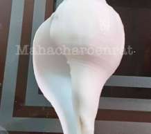 พระมหาสังข์ 0