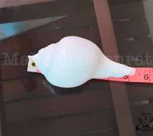 พระมหาสังข์