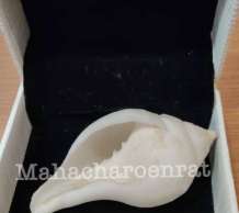 พระมหาสังข์