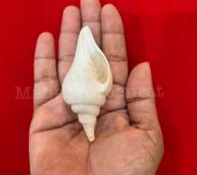 พระมหาสังข์ 0