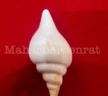 พระมหาสังข์