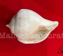 พระมหาสังข์