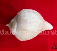 พระมหาสังข์