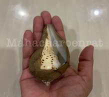 พระมหาสังข์ 0