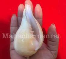 พระมหาสังข์ 0
